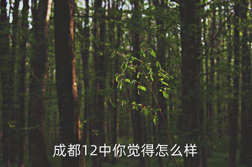 成都12中你覺得怎么樣