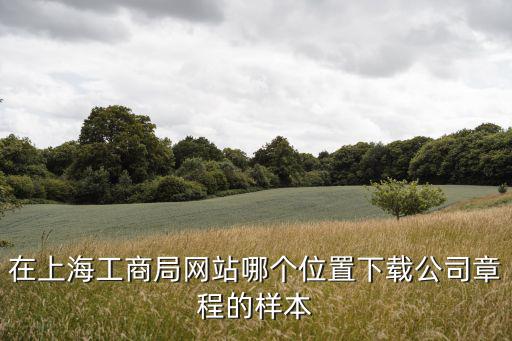 在上海工商局網站哪個位置下載公司章程的樣本
