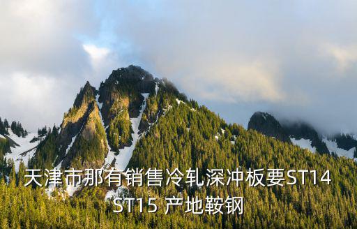天津市那有銷(xiāo)售冷軋深沖板要ST14ST15 產(chǎn)地鞍鋼