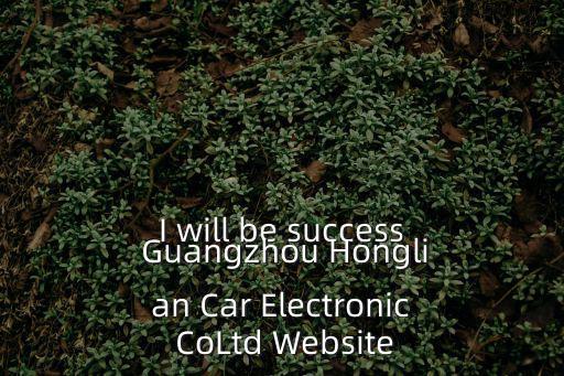 I will be success Guangzhou Honglian Car Electronic CoLtd Website