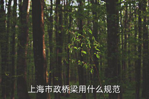 上海市政橋梁用什么規范