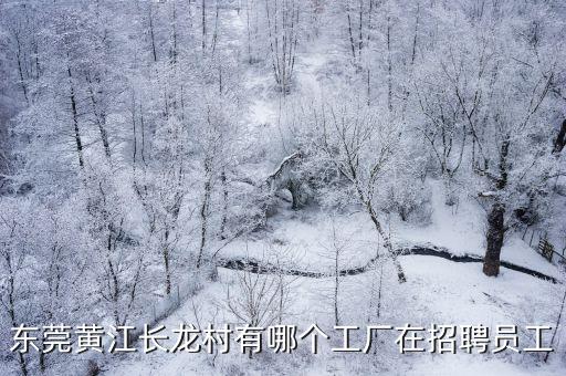 東莞黃江宇源廠招聘，東莞黃江哪里有塑膠模具廠招工