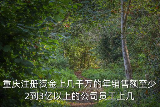 重慶注冊資金上幾千萬的年銷售額至少2到3億以上的公司員工上幾