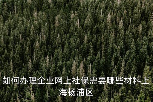 如何辦理企業網上社保需要哪些材料上海楊浦區