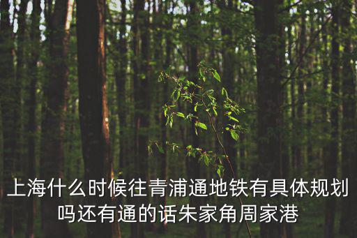 上海什么時候往青浦通地鐵有具體規劃嗎還有通的話朱家角周家港