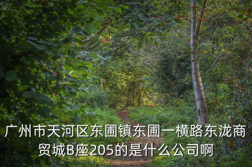 廣州市天河區東圃鎮東圃一橫路東瀧商貿城B座205的是什么公司啊