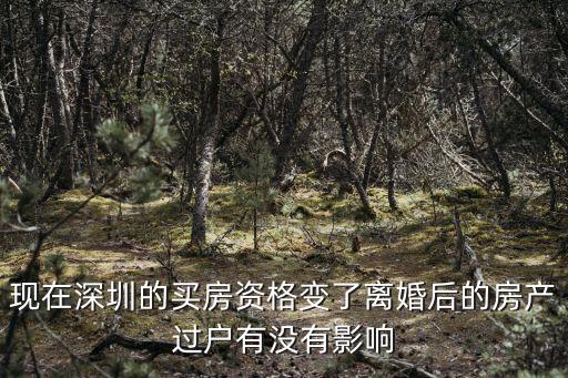 現在深圳的買房資格變了離婚后的房產過戶有沒有影響