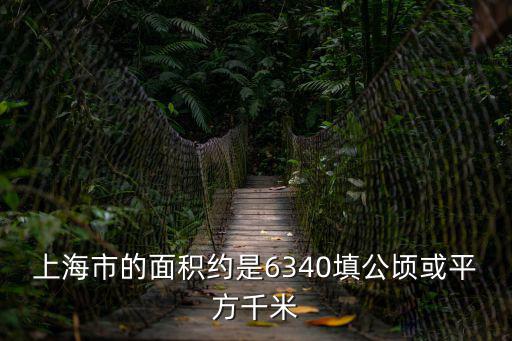 上海市填海，上海填海造陸的例子