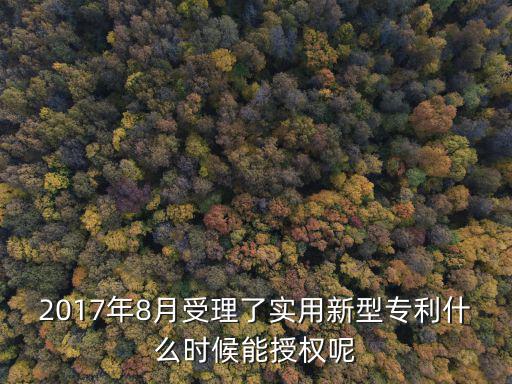 2017年8月受理了實(shí)用新型專利什么時(shí)候能授權(quán)呢