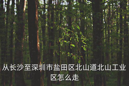 深圳市鹽田區北山道，鹽田區北山道倚山時代附近是有哪些公交站臺