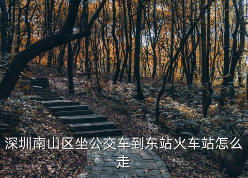 深圳南山區坐公交車到東站火車站怎么走