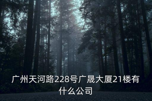 廣州天河路228號廣晟大廈21樓有什么公司