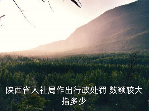 陜西省人社局作出行政處罰 數額較大指多少
