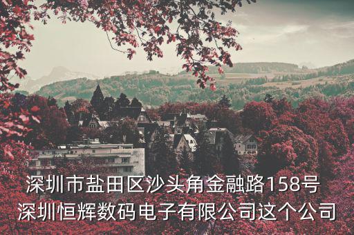 深圳市鹽田區沙頭角金融路158號 深圳恒輝數碼電子有限公司這個公司