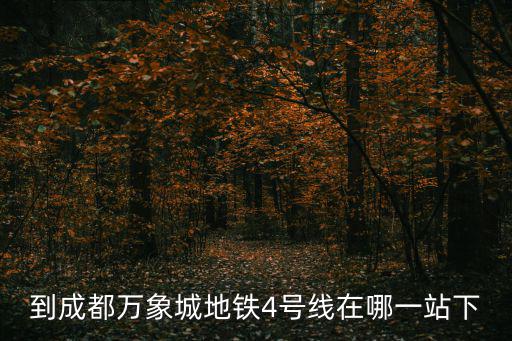 到成都萬象城地鐵4號線在哪一站下