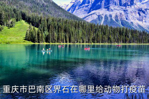 重慶市巴南區(qū)界石在哪里給動物打疫苗