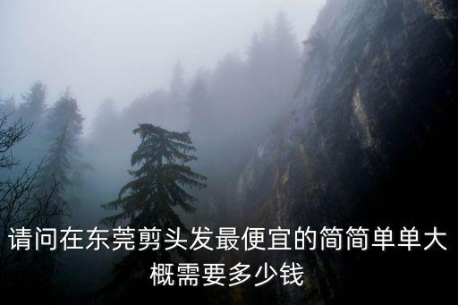 東莞浦發美發多少錢剪，請問在東莞剪頭發最便宜的簡簡單單大概需要多少錢