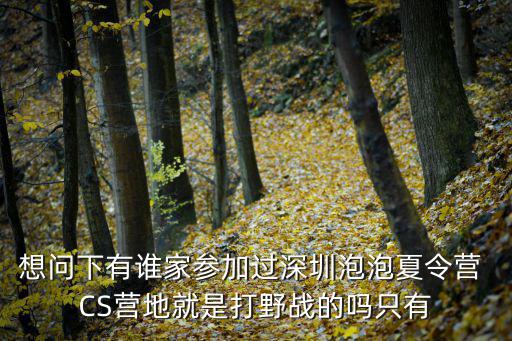想問下有誰家參加過深圳泡泡夏令營 CS營地就是打野戰的嗎只有