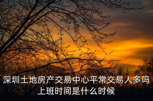 深圳土地房產交易中心平常交易人多嗎上班時間是什么時候