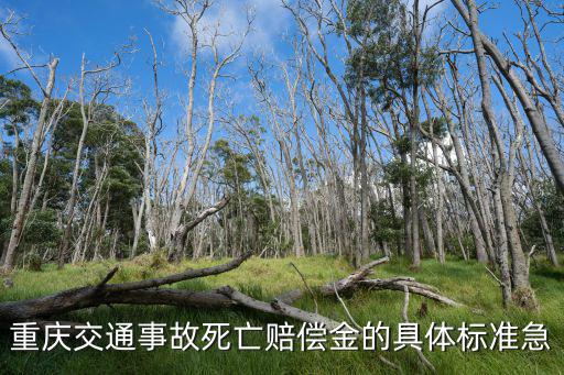 重慶交通事故死亡賠償金的具體標準急