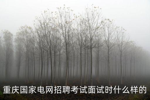 重慶國家電網招聘考試面試時什么樣的
