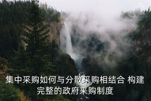 集中采購(gòu)如何與分散采購(gòu)相結(jié)合 構(gòu)建完整的政府采購(gòu)制度