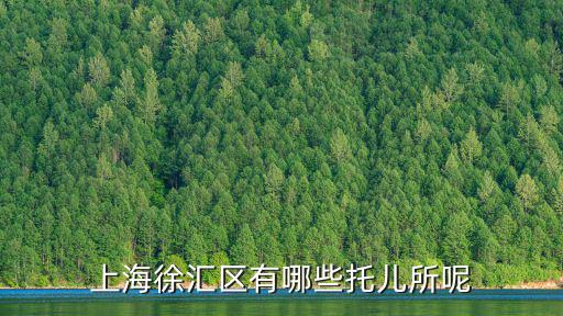 上海徐匯區(qū)有哪些托兒所呢