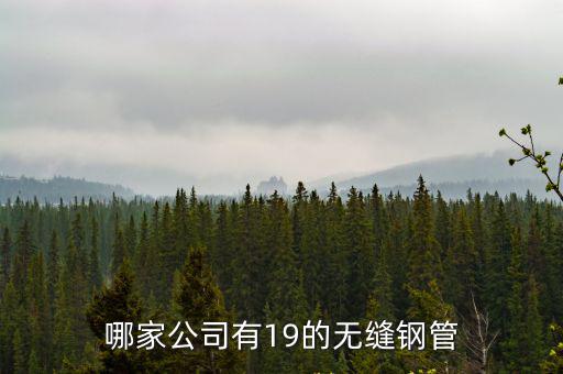 哪家公司有19的無縫鋼管