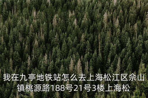 上海市松江區(qū)桃園路，想知道 上海市松江區(qū)桃園路138號在哪