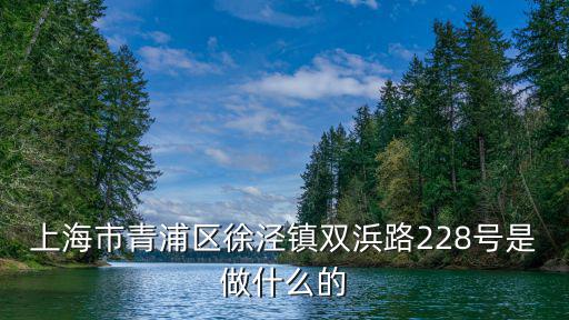 上海市青浦區徐涇鎮雙浜路228號是做什么的
