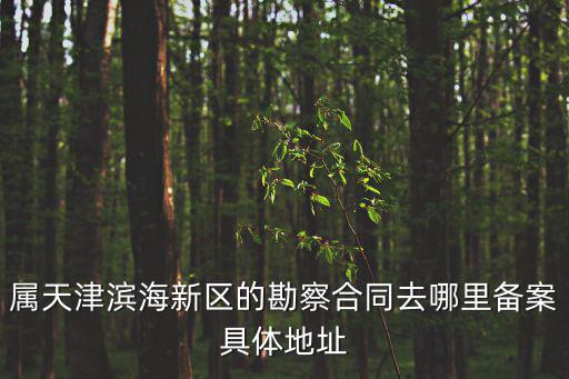 屬天津濱海新區(qū)的勘察合同去哪里備案具體地址