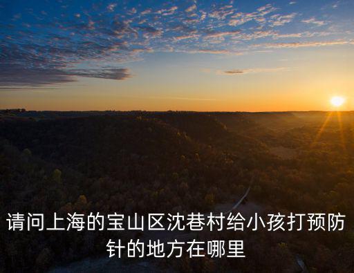 請問上海的寶山區沈巷村給小孩打預防針的地方在哪里