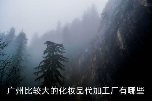 廣州市旺都化妝品有限公司，迪諾發水是廣州哪個公司的