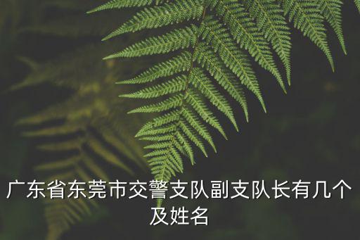 廣東省東莞市交警支隊副支隊長有幾個及姓名