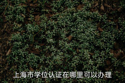 上海市學(xué)歷認(rèn)證地址，上海學(xué)歷認(rèn)證中心在哪里