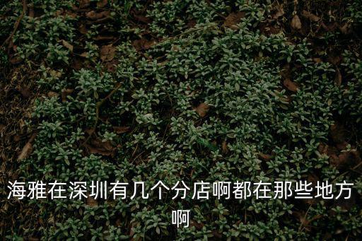 海雅在深圳有幾個分店啊都在那些地方啊