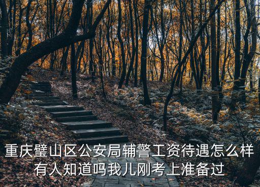 2017年重慶市輔警招聘，重慶交巡警招聘