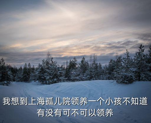 我想到上海孤兒院領養一個小孩不知道有沒有可不可以領養