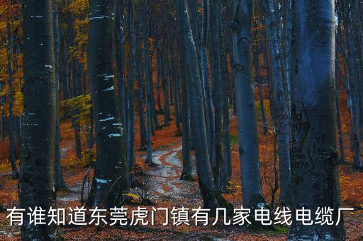 東莞永晟電線有限公司，請問東莞永晟五金制品廠家的老板是誰