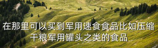 在那里可以買到軍用速食食品比如壓縮干糧軍用罐頭之類的食品