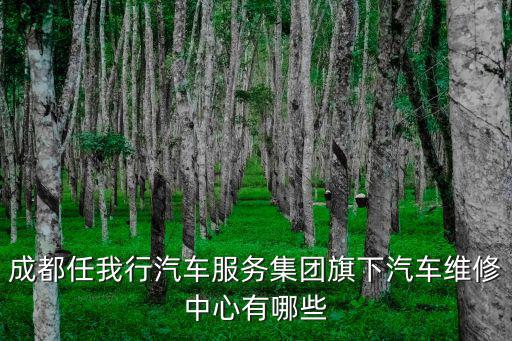 成都任我行汽車服務集團旗下汽車維修中心有哪些