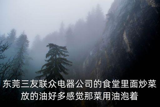 東莞三友聯眾電器公司的食堂里面炒菜放的油好多感覺那菜用油泡著