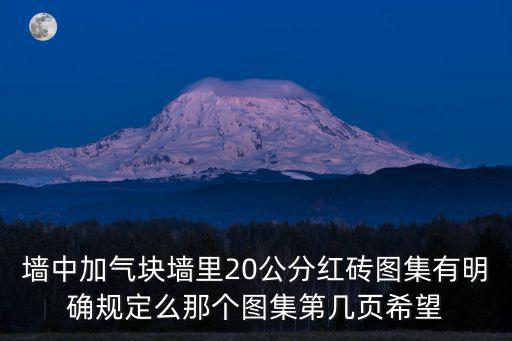 墻中加氣塊墻里20公分紅磚圖集有明確規定么那個圖集第幾頁希望