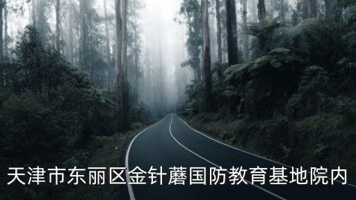 天津市東麗區張作明，天津市東麗區金針蘑國防教育基地院內