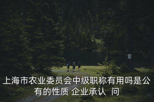 上海市農業委員會中級職稱有用嗎是公有的性質 企業承認  問
