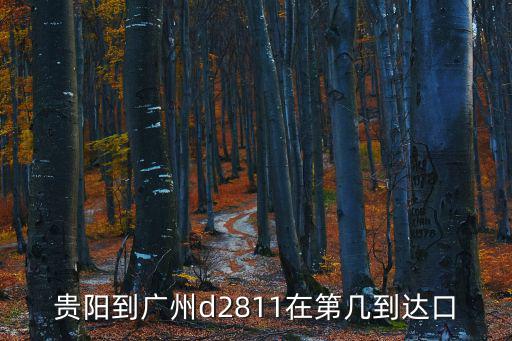 貴陽到廣州d2811在第幾到達口