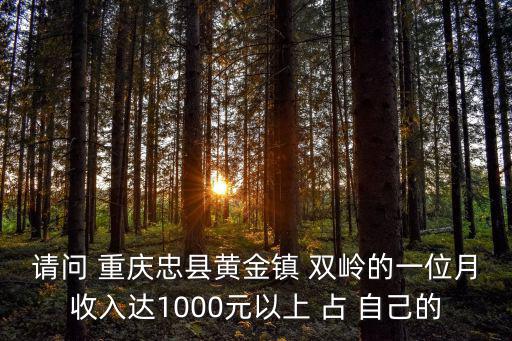 請問 重慶忠縣黃金鎮(zhèn) 雙嶺的一位月收入達(dá)1000元以上 占 自己的
