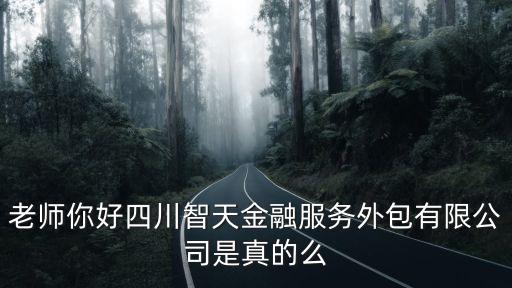 老師你好四川智天金融服務外包有限公司是真的么
