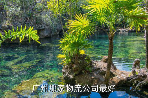 廣州那家物流公司最好