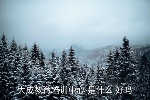 大成教育培訓(xùn)中心 是什么 好嗎